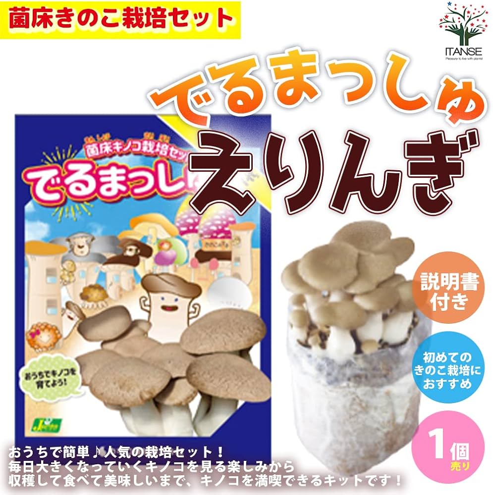 Amazon.co.jp: ITANSE 菌床きのこ栽培セット でるまっしゅ えり