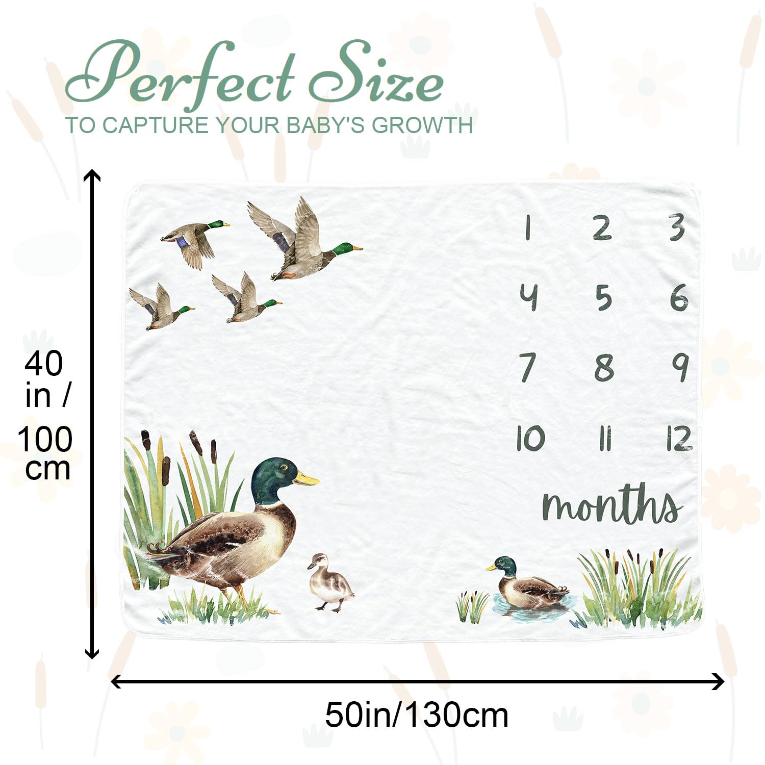 Mallard - Manta mensual para bebé para niños y niñas, manta de mes de recién nacido, manta de franela suave para fondo de fotografía, regalo de ducha personalizado, color verde azulado