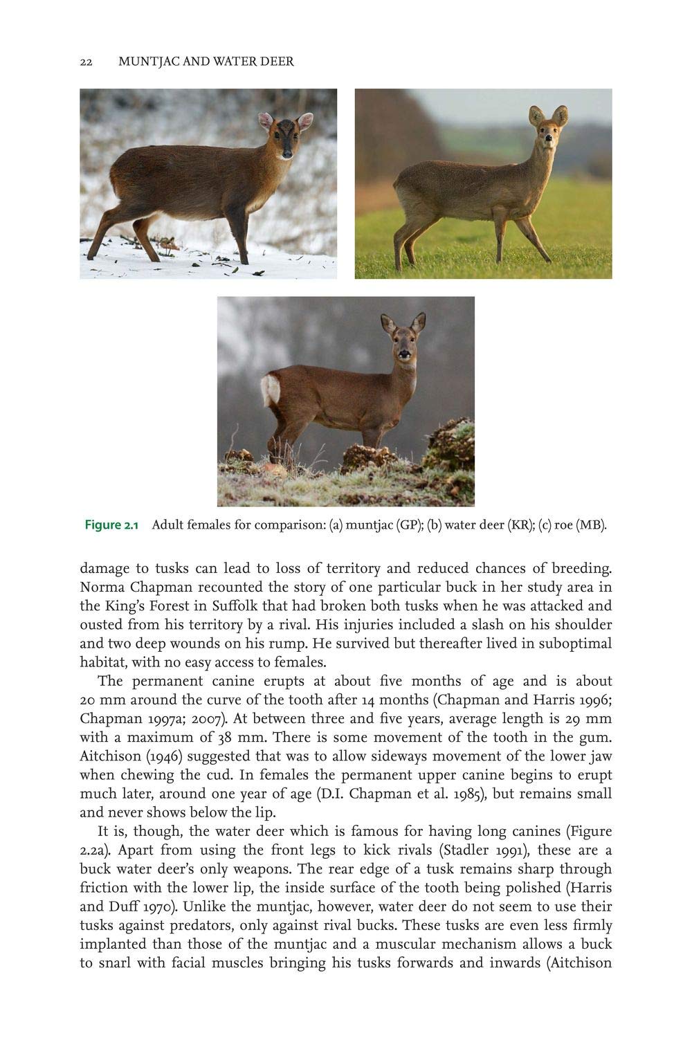 Muntjac and Water Deer: Natural History, Environmental Impact and Management (Pelagic Monographs)