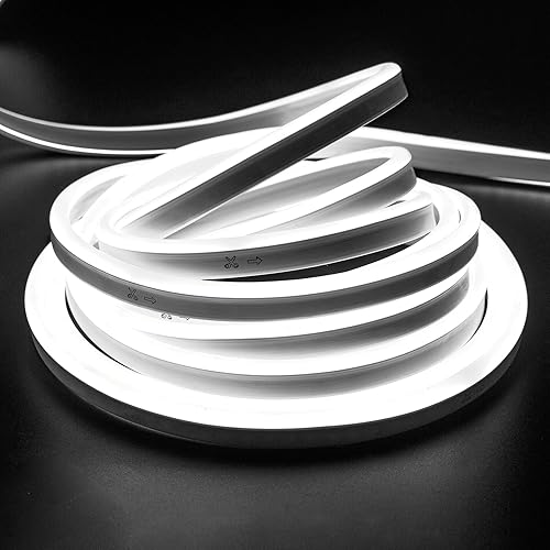 GZBtech Tira de luces de neón flexible de 16.4 pies16.4 ft, color blanco frío, CA 110-120 V, impermeable, tira de luz de neón LED, 120 LEDsM, cuerda