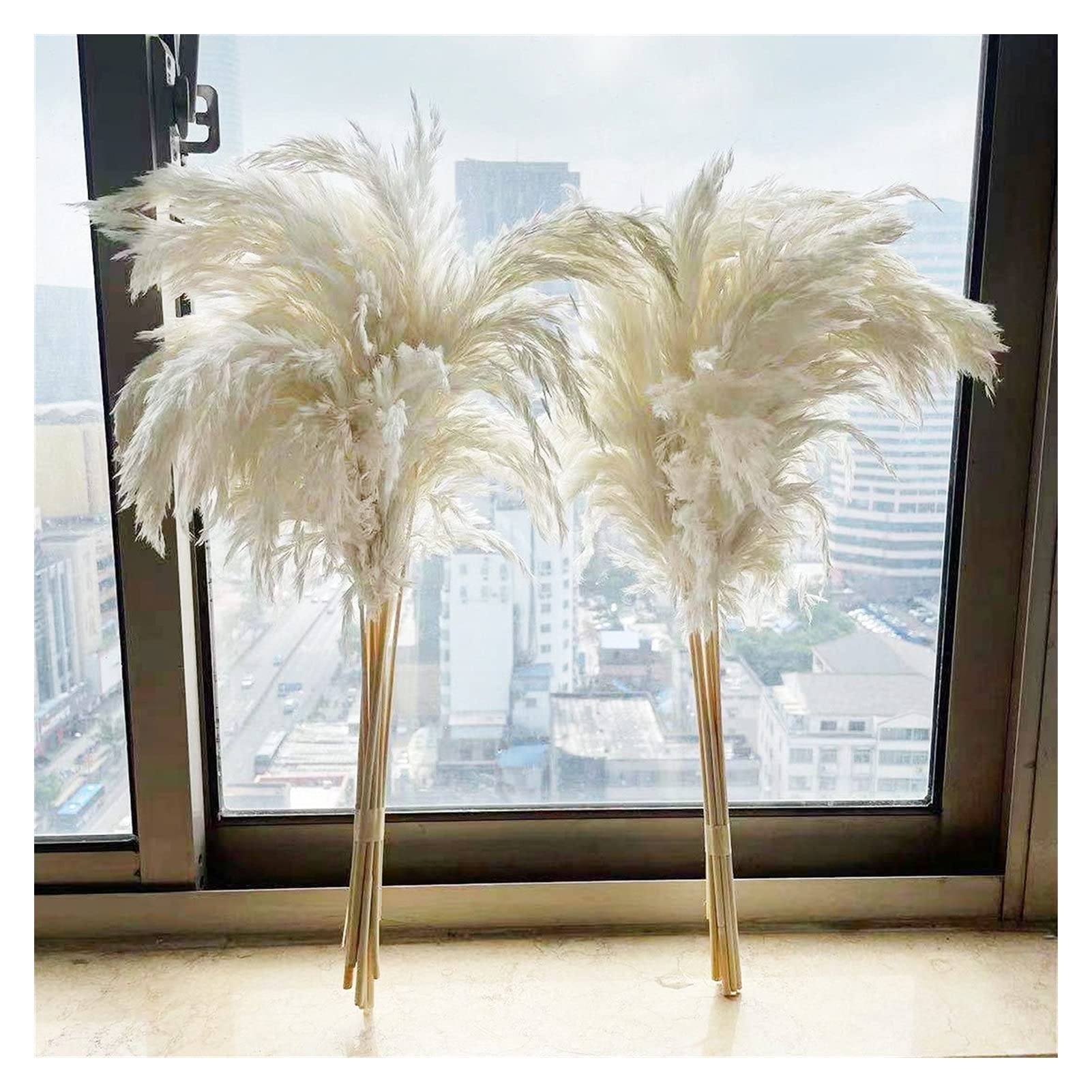 YANGQI Yaoqijie Herbe de pampa séchée de grande taille pour mariage ou décoration d'intérieur - Couleur : blanc - 20 tiges - Taille : L