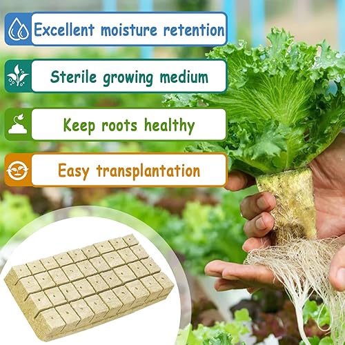 Miniatura 3 de Legigo Cubos de cultivo de lana de roca de 1.2 pulgadas, cubos de siembra de lana de roca para iniciador de semillas, cultivo hidropónico, esquejes,