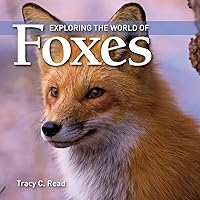 Algopix Similar Product 5 - Exploring the World of Foxes