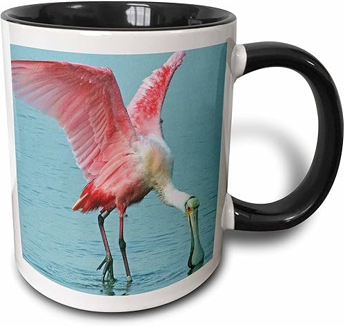 Vista 9 de 3dRose mug_35348_1 Upclose Roseate Spoonbill Pink Tropic Bird Taza de cerámica, 11 onzas Blanco
