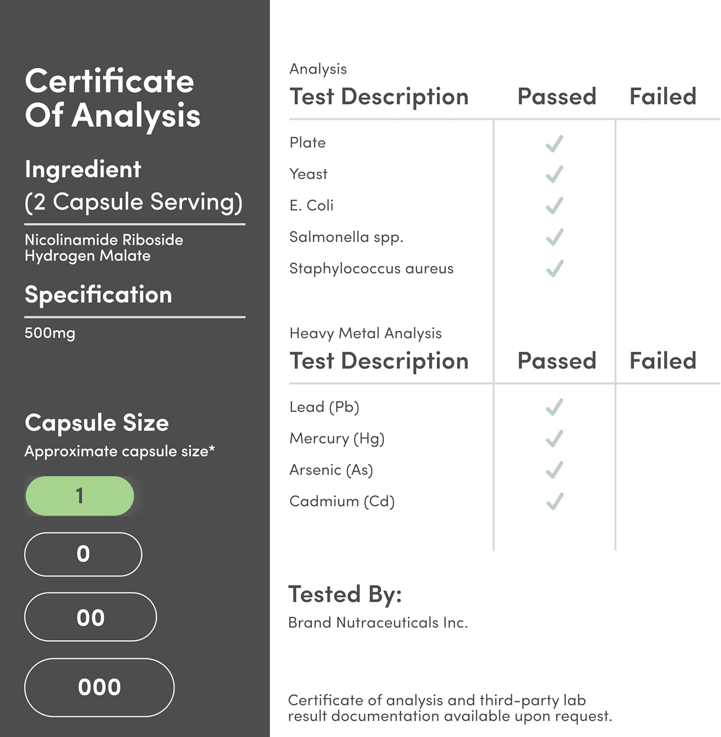 Nicotinamide Riboside - NAD Supplement to Boost Levels of NAD+ by Double Wood - Image 7
