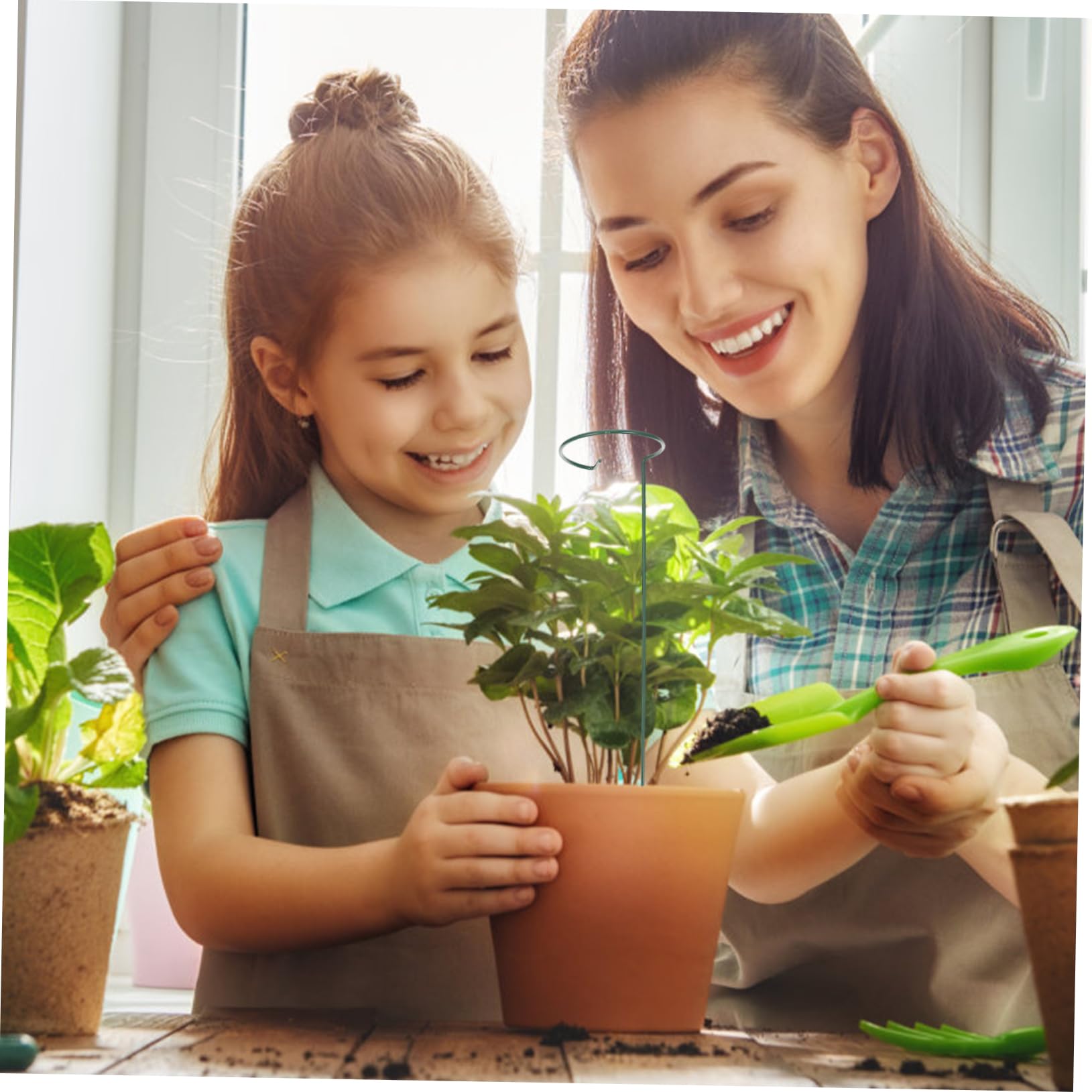 TOYANDONA 2 Ensembles Tuteurs De Plantes Supports pour Fleurs Et Plantes Grimpantes Cadres De Fixation pour Pots pour Jardin Équilibré Et Élégant 10 Pièces * 2