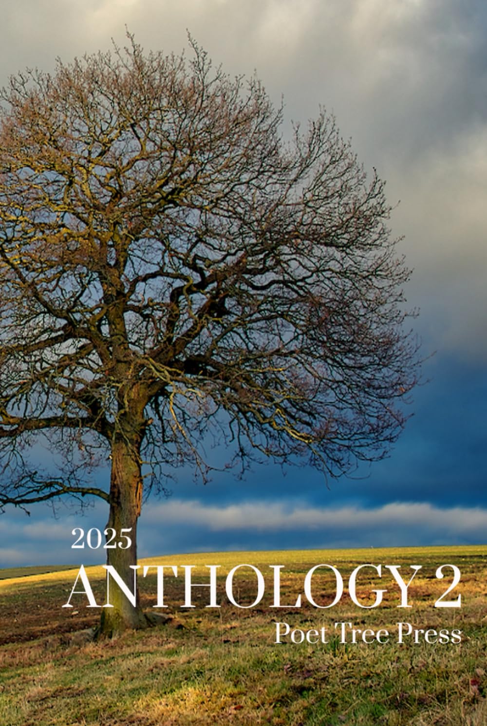 ANTHOLOGY 2: Poet Tree Press