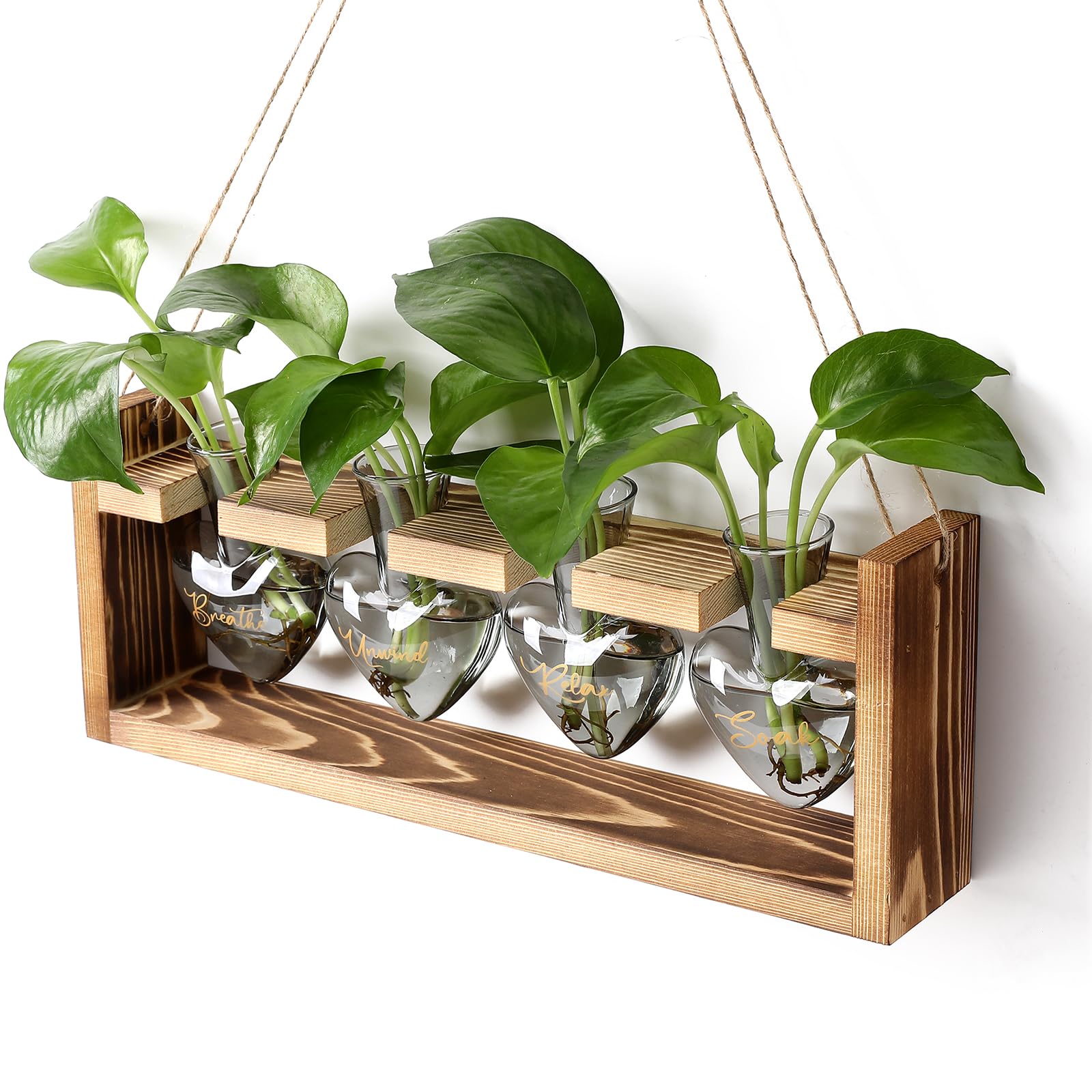 CYZglass Plants Propagation Stations Plant Terrarium Kit for Bathroom Glass Planters for Indoor Plants Bathroom Decor Accessories - Relax Soak Unwind Breathe