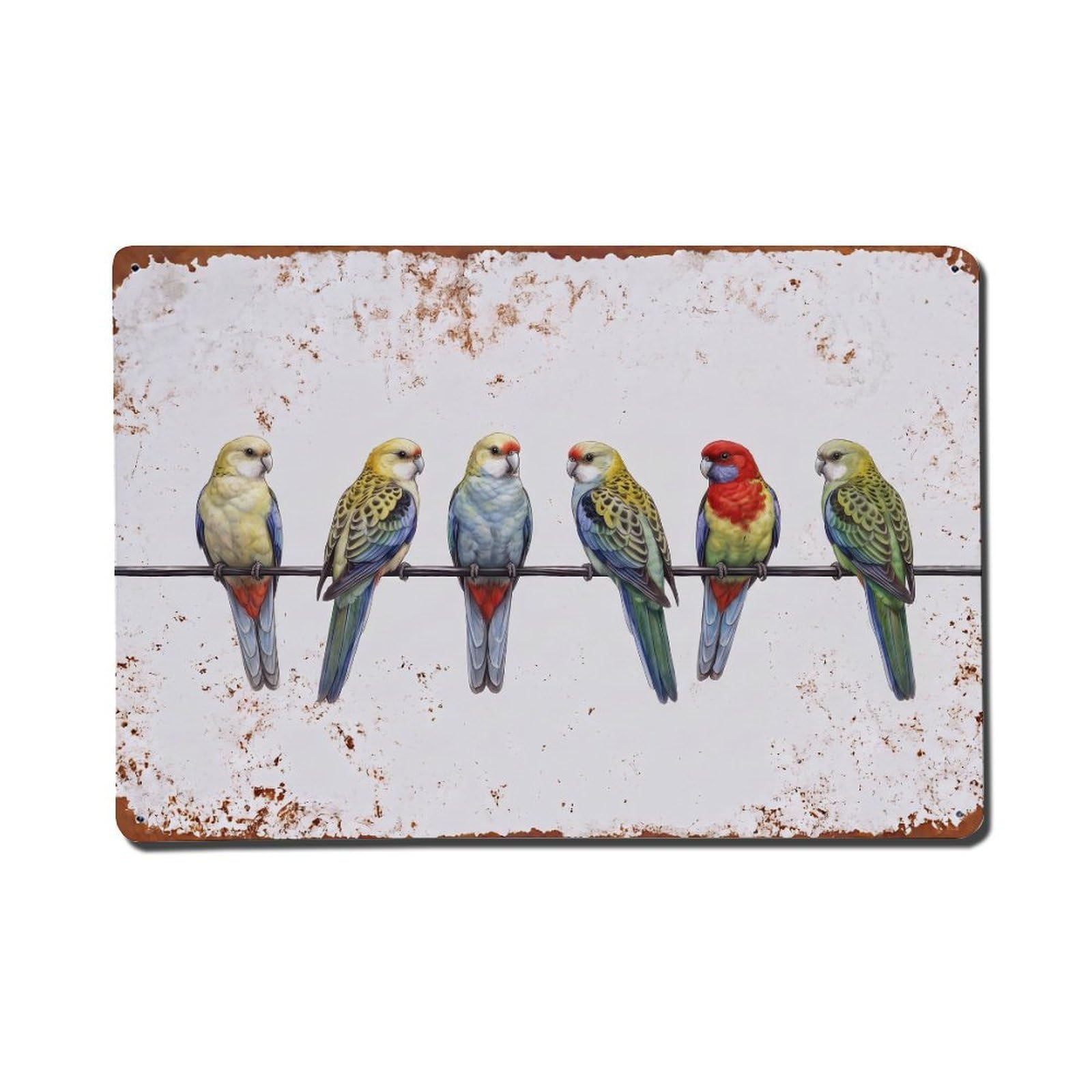 Vintage Retro Birds Pale-headed Rosella Metal Tin Sign