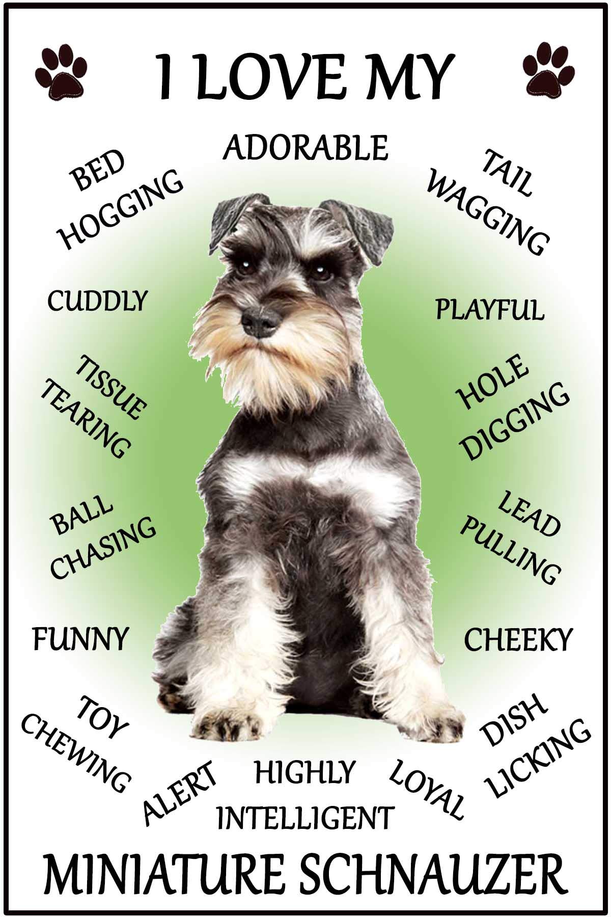 Fridge Magnets Miniature Schnauzer Gift - I Love My - Dog Character Flexible Fridge Magnet- Size 16Cms X 10 Cms (Approx. 6" X4")