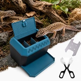 Dubia Roach Container, Cricket Keeper for Reptiles Large Size