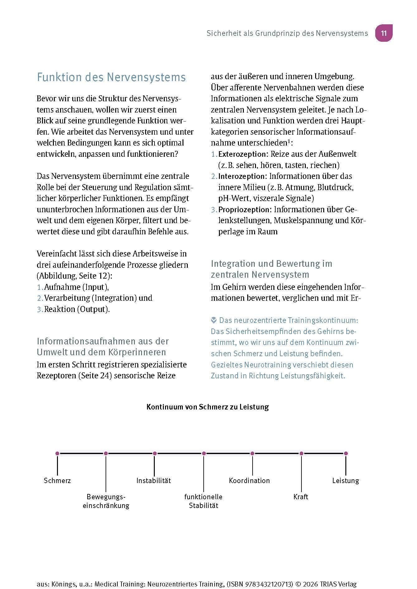 Medical Training: Neurozentriertes Training: Das innovative Gehirntraining für ein gesundes Nervensystem und mehr Leistung