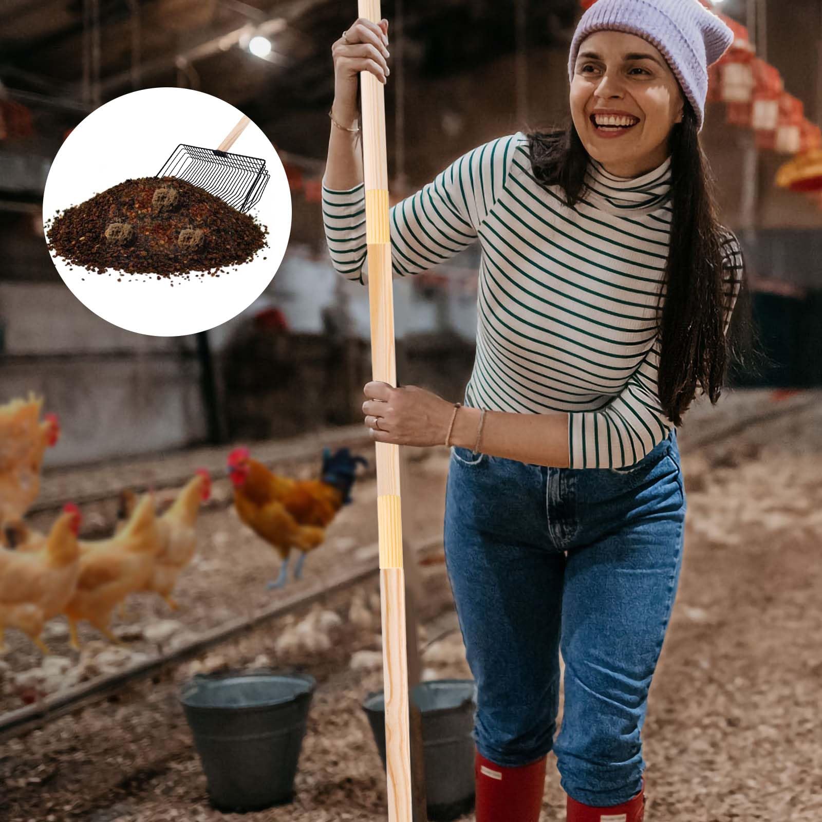 Gosknor Paletta Lettiera Pollo, Strumento Pulizia Pollaio in Acciaio Inossidabile 3 in 1 Strumento Staccabile Paletta Lettiera Pollo Manico Lungo Paletta per Escrementi di Pollo Accessori Pollaio