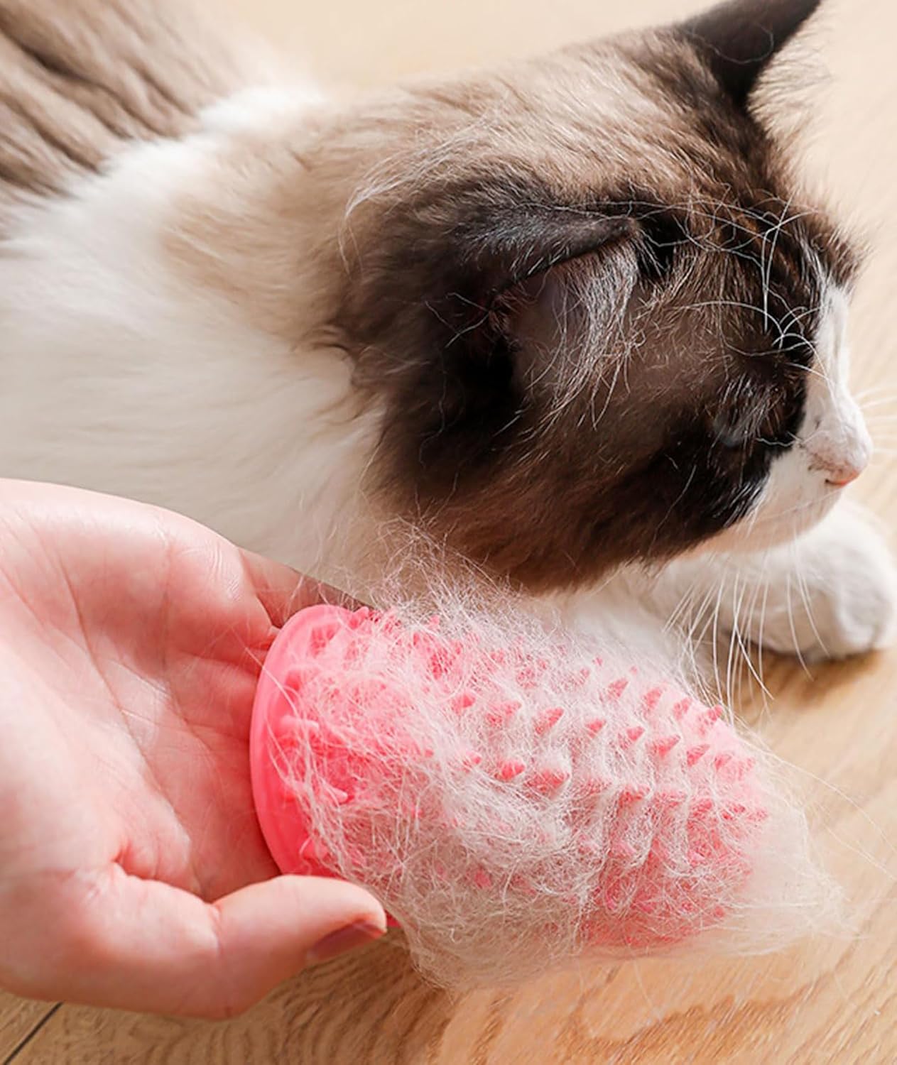 2 Pcs Cat Self Groomer, Cat Brush, Cat Massager Cat Corner Brush Wall Corner Tickling Itch Board Bath Brush Cat Brush Tie Table Corner Brush (Green Pink) 2 Pcs Cat Self Groomer, Cat Brush, Cat Massager Cat Corner Brush Wall Corner Tickling Itch Board Bath Brush Cat Brush Tie Table Corner Brush (Green Pink)