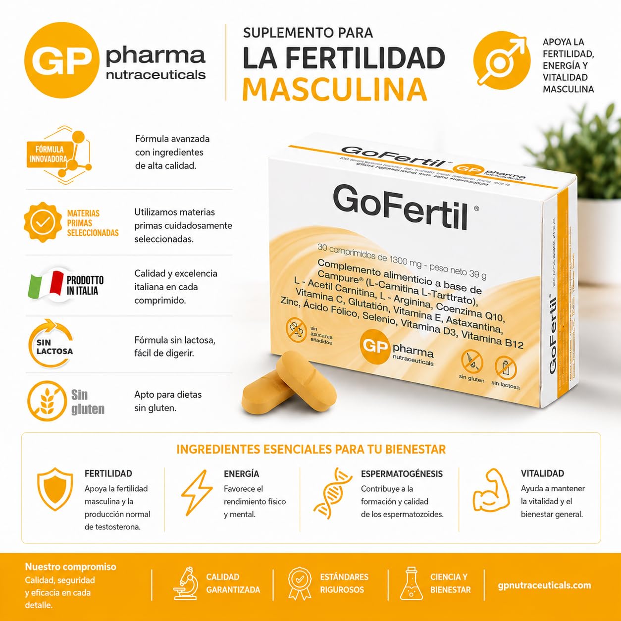 l carnitina para espermatozoides GoFertil® Fertilidad Masculina – Complemento Alimenticio con L-Carnitina, L-Arginina,  Coenzima Q10, Zinc, Selenio y Glutatión – Apoyo Natural para Esperma,  Libido y Vitalidad Masculina : Amazon.es: Salud y cuidado personal