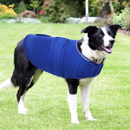 Miniatura 6 de ROZKITCH Chaleco de ansiedad para perro, chaqueta cómoda para ansiedad para perros con fuegos artificiales, viajes, visitas al veterinario, camisa