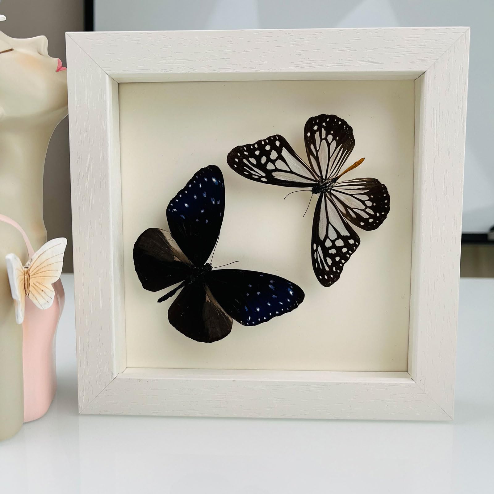 Guoyoocc 15 Taxidermy Mounted In Frame,Exquisite Butterflies Insect Specimen,Collection Of Butterfly,Unique Home Decor Wall Decoration Gift For Christmas Valentine Birthday,Real Butterfly Specimens17.6*17.6Cm