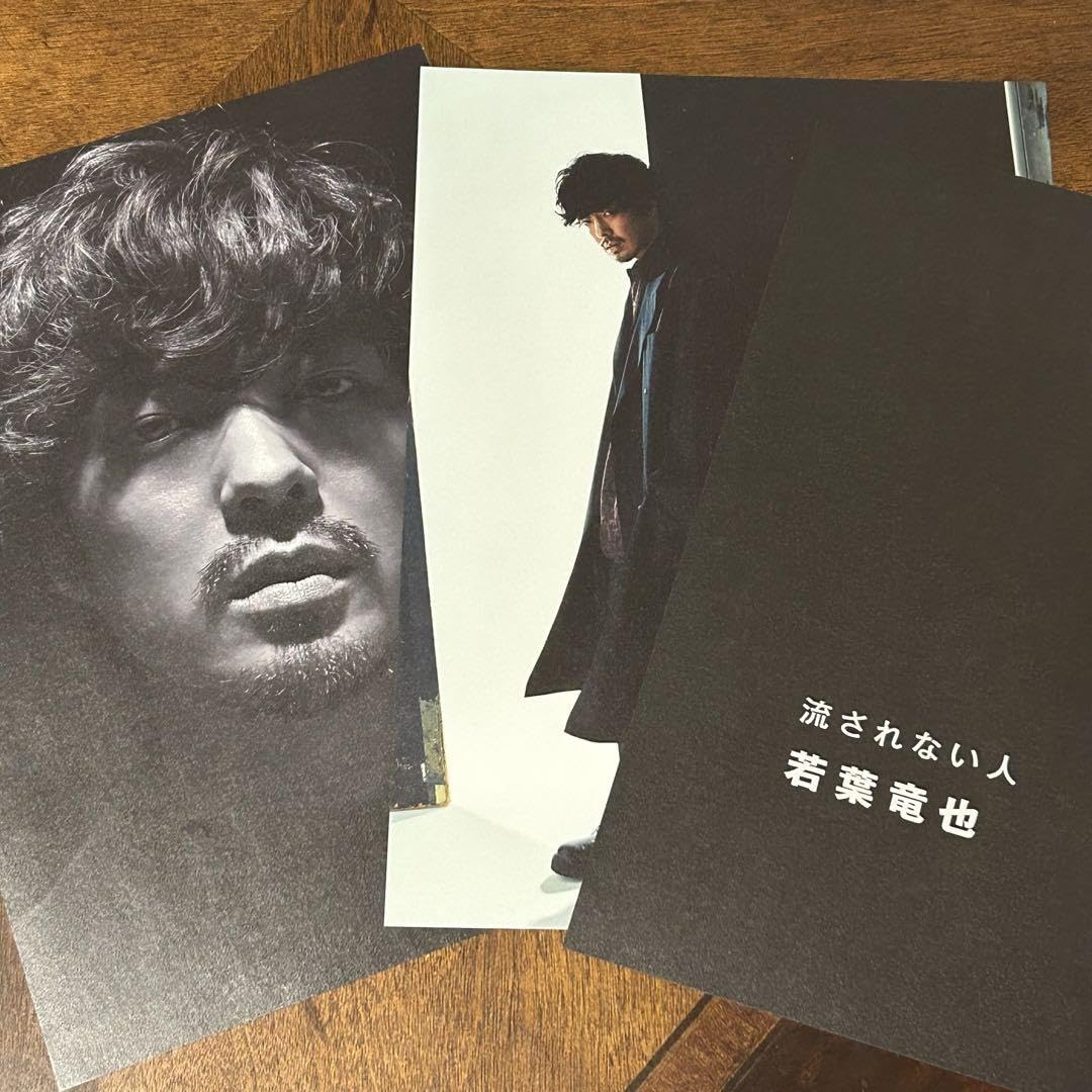 竜星涼 切り抜き・フライヤー・新聞記事など数百枚 竜星涼 切り抜き・フライヤー・新聞記事など数百枚 2025年最新】竜星