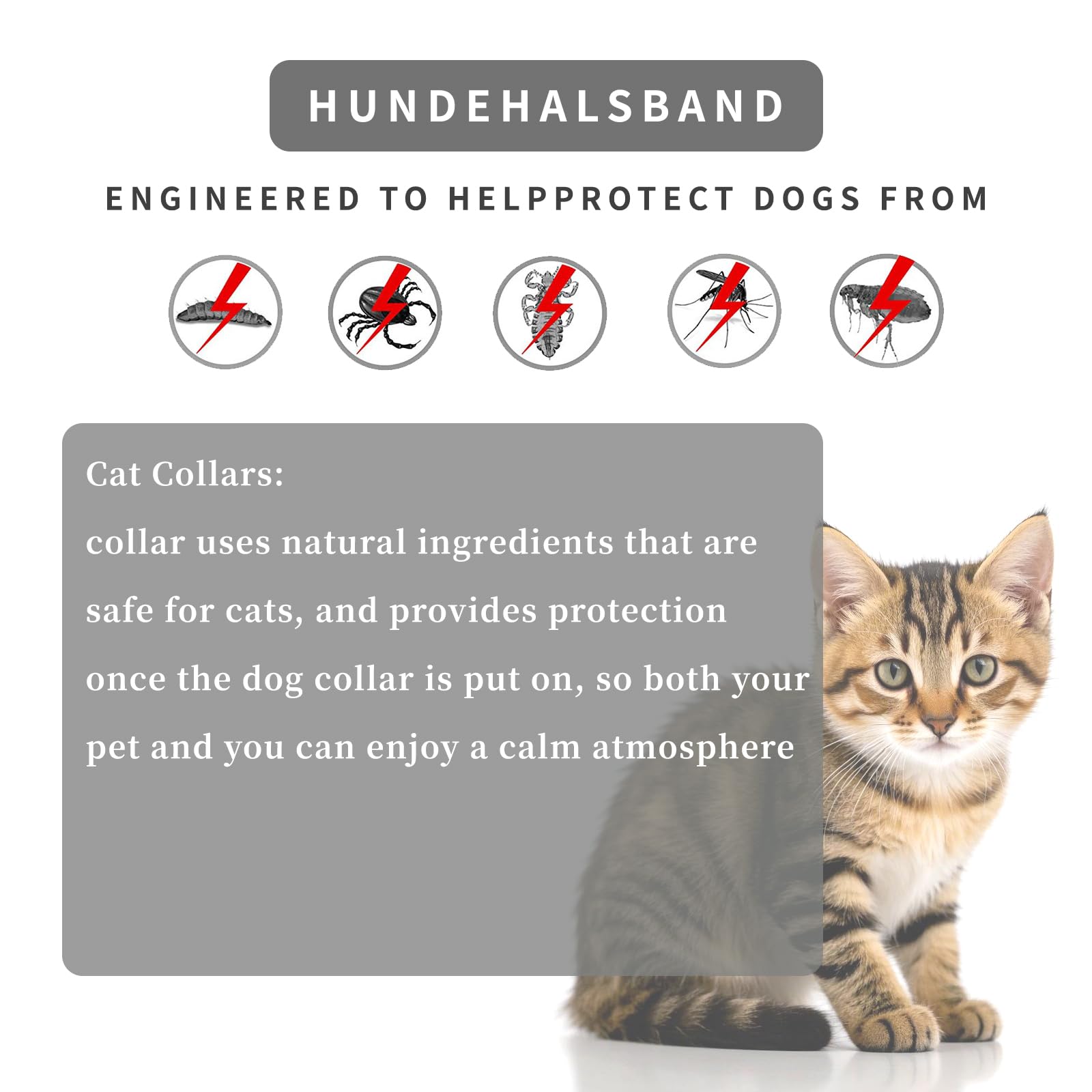 2 pcs Cat Collars,Safe,Waterproof and Adjustable Cat Collars,Contains Natural Essential Oils,Infection Defense,Suitable for Small Cats Over 7 Weeks(39cm) - Image 3