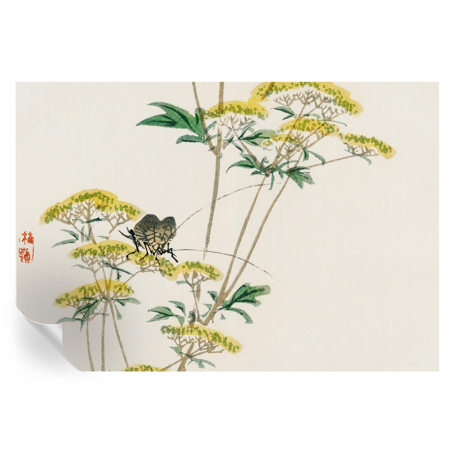 Cubiertas de pared decorativas de 152x104 cm que tapan imperfecciones con flores