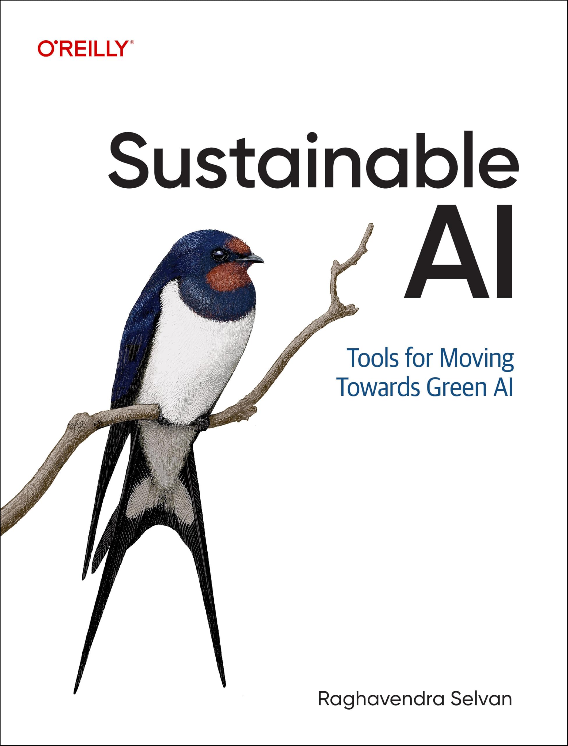 Sustainable AI by Raghavendra Selvan PAPERBACK 9781098155513