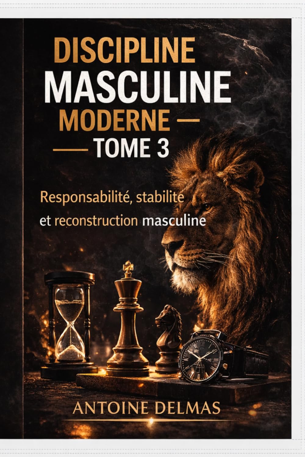 Discipline Masculine Moderne — Tome 3: Responsabilité, stabilité et reconstruction masculine