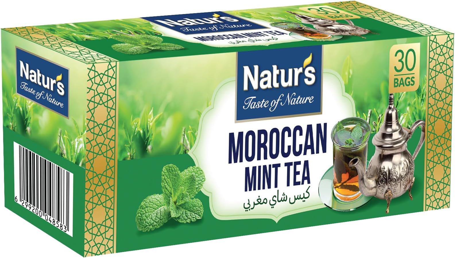 Natur's Moroccan Mint Tea 60 g