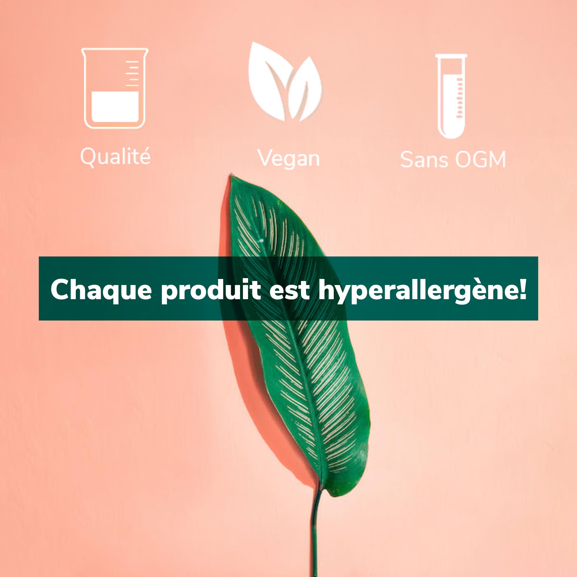 Nutricology, Mastic Gum (Mastix), 500mg, 120 Capsules végétaliennes, Végétarien, Sans Gluten, Sans Soja, Sans OGM