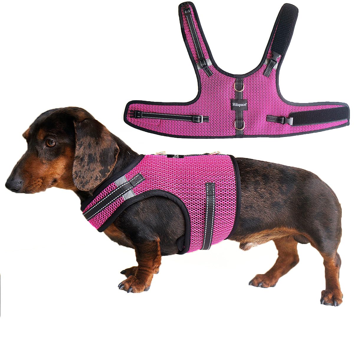 Hilspace Mini Dachshund Harness – No Armpit Rub, Escape Proof, Reflective, No Pull Vest-Style Dachshunds Harness,Breathable Mesh Dog Harness (Rose Red, L: Chest 53-63cm (21"-25"))