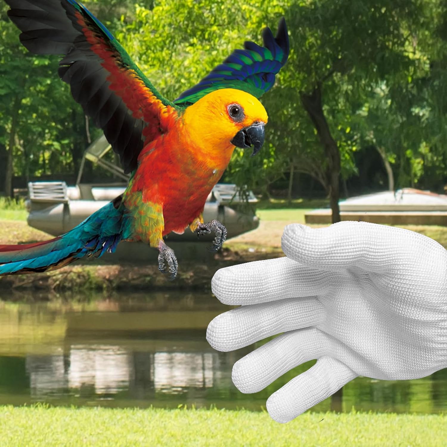 Bird Training Anti-Bite Gloves, Bite Proof Gloves, Small Animal Handling Chewing Protective for Small Animal Pet（White）