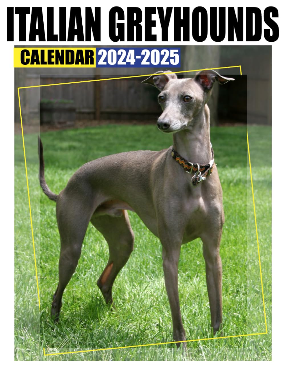 Italian Greyhounds Calendar 2024 2025 24 Months Planner Jan 2024 to