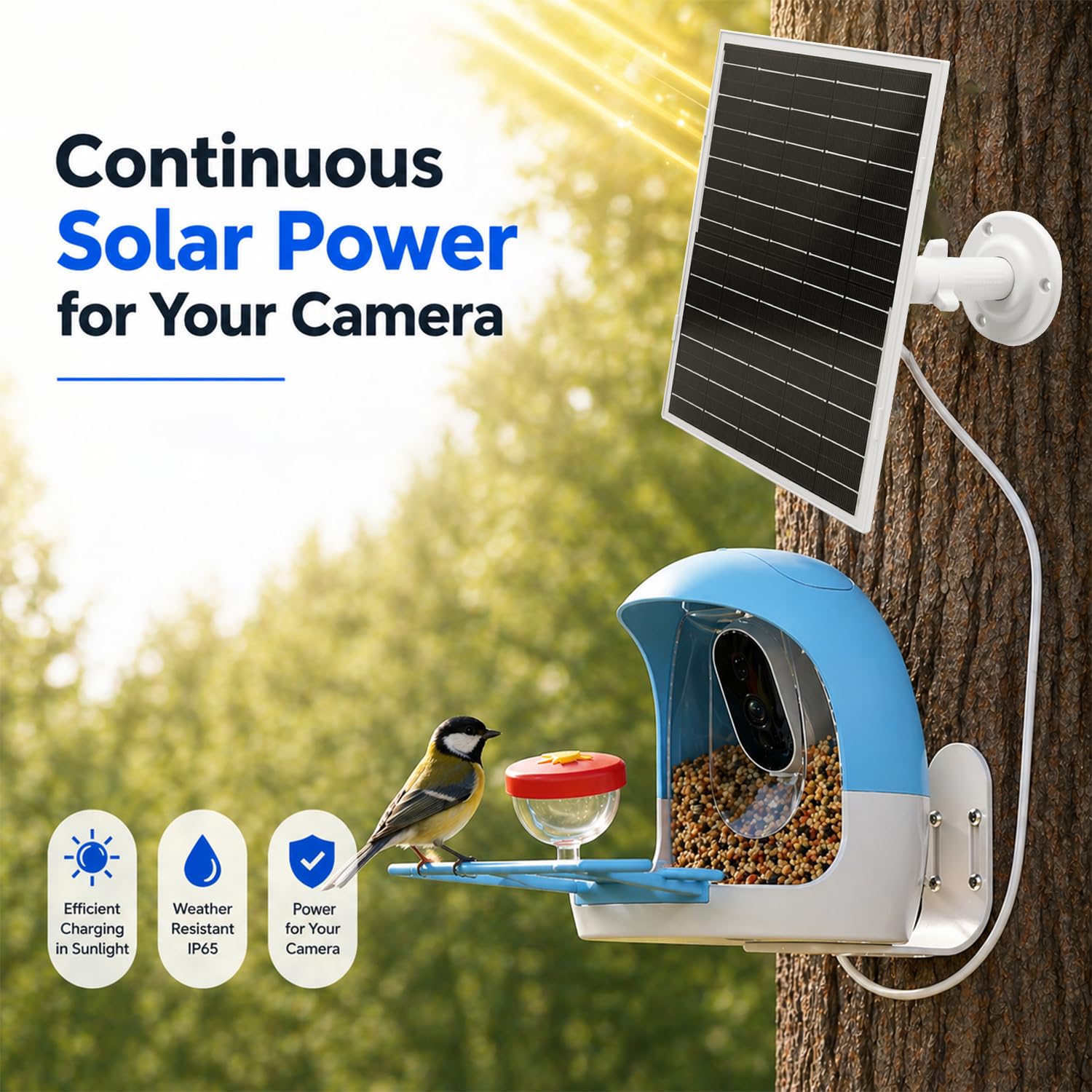Paneles solares de 8 W para cámara de seguridad, panel solar con puerto micro USB y USB-C para cámara de batería recargable de 5 V CC para exteriores, IP65 impermeable (1 unidad)