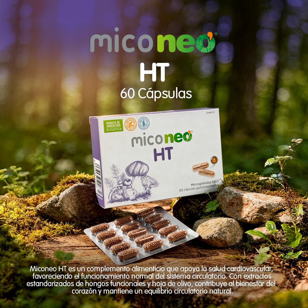 Mico NEO | HT | Hongos de Agricultura Ecológica | Apto Para Vegetarianos | Sin Gluten ni Derivados Lácteos | 60 Cápsulas | Tomar 1 o 2 Cápsulas al Día