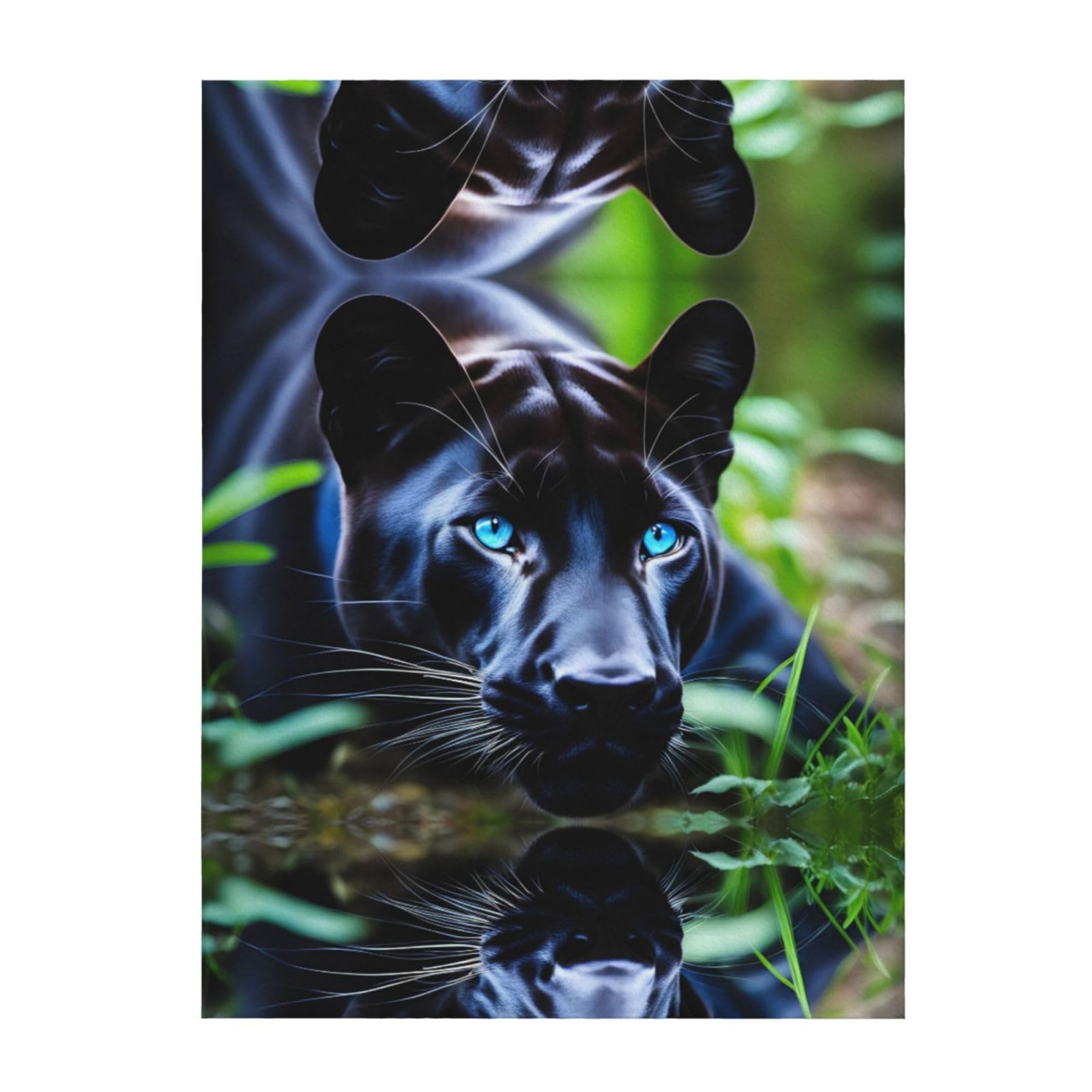 Couverture panthère yeux bleus pour rester au chaud tout l'hiver au salon