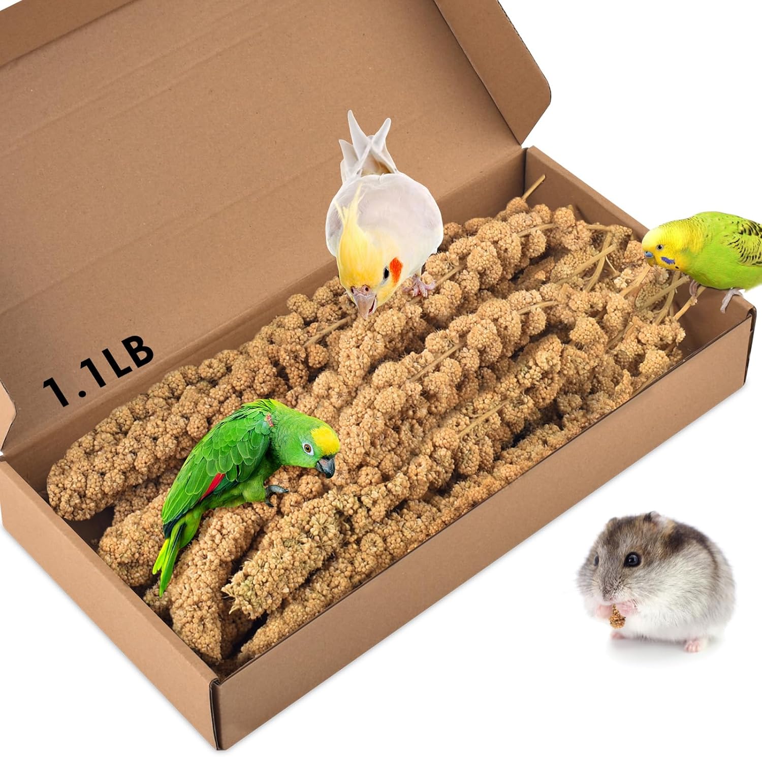 KATUMO 1.1LB Spray Millet Treat for Birds, Natual Sun-Dried Bird Millet Parrot Food for Parakeet Budgie Cockatiel Finches Lovebird Conure Parrots Hamster