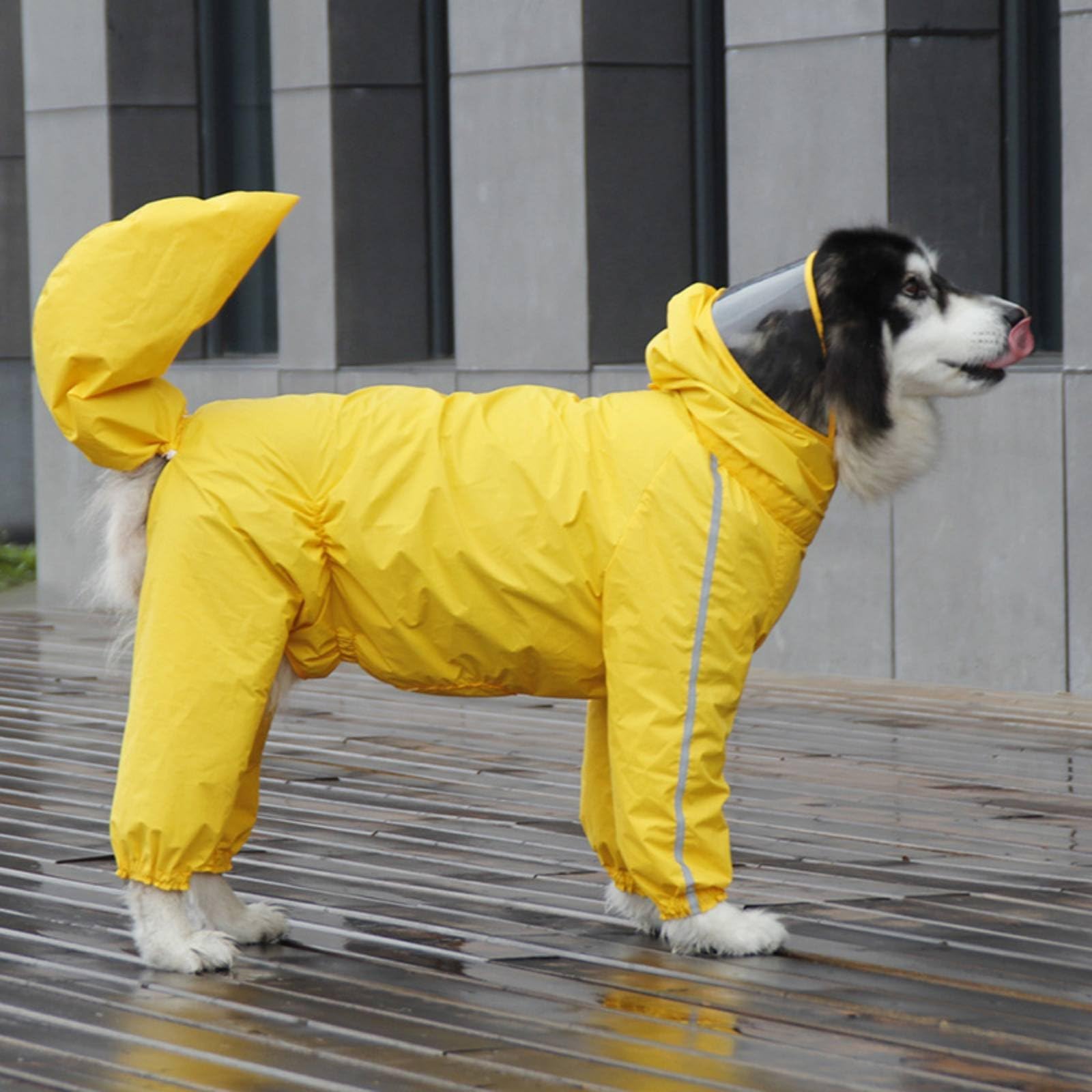 predolo 1 Pezzo Impermeabile Canino Antipioggia Tuta Cappuccio Trasparente Copertura Integrale Cerniera Posteriore Strisce Riflettenti Protezione Coda, Yellow, 12XL