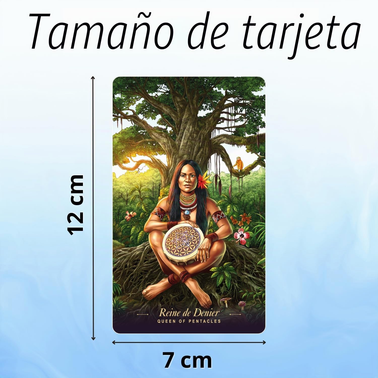 El Tarot de los Espejos del Mundo (Solo en FRANCES) – 78 Cartas ilustradas + Folleto (en Francés) – Renueve con imágenes encarnadas, vibrantes, humanas, que resuenan con El Mundo… y con Usted!
