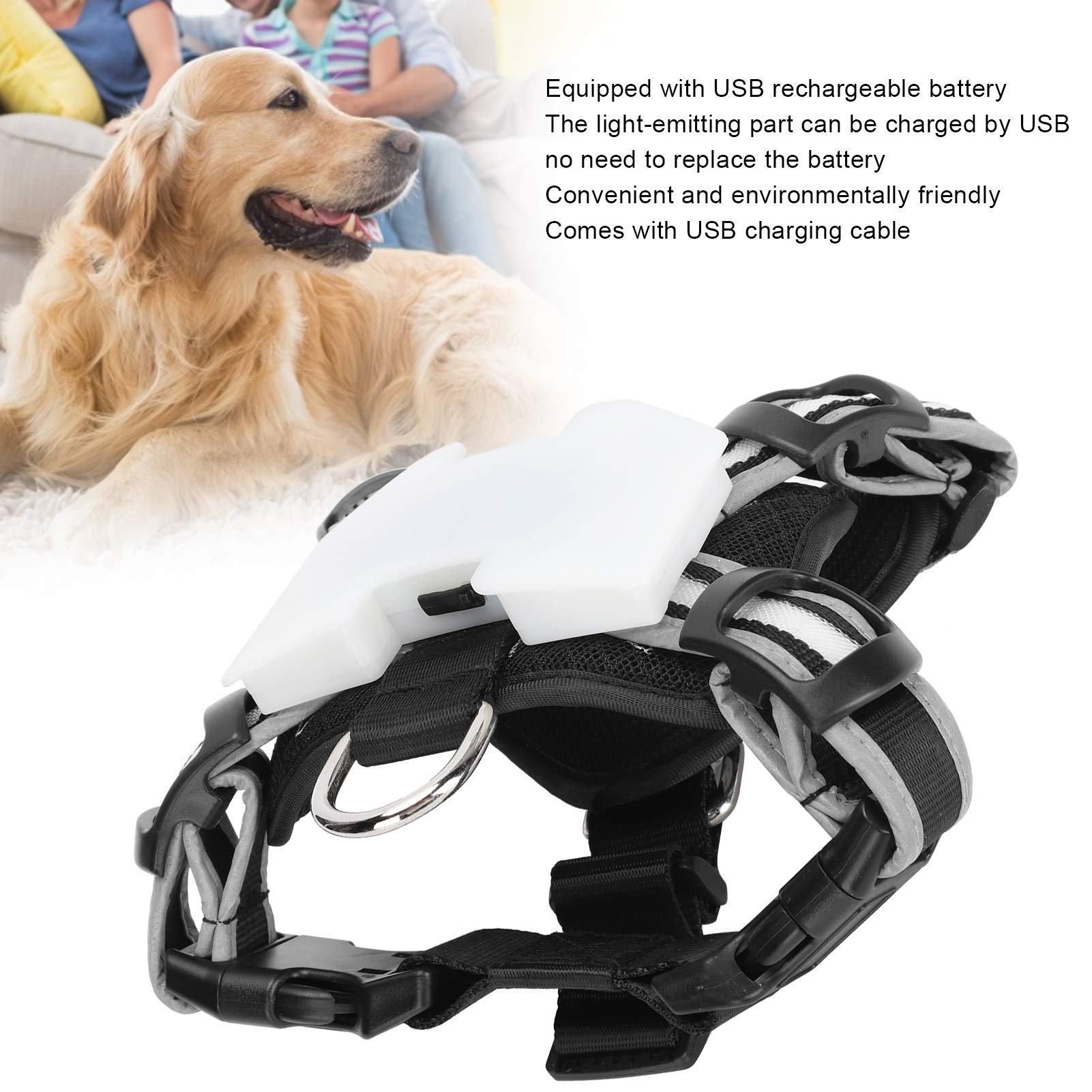 Pettorina per Animali a LED con Strisce Riflettenti Regolabili per la Sicurezza Nelle Passeggiate Notturne - Fascia Toracica per Cani Ricaricabile Tramite USB - Ideale per Tutte le Razze di (S)