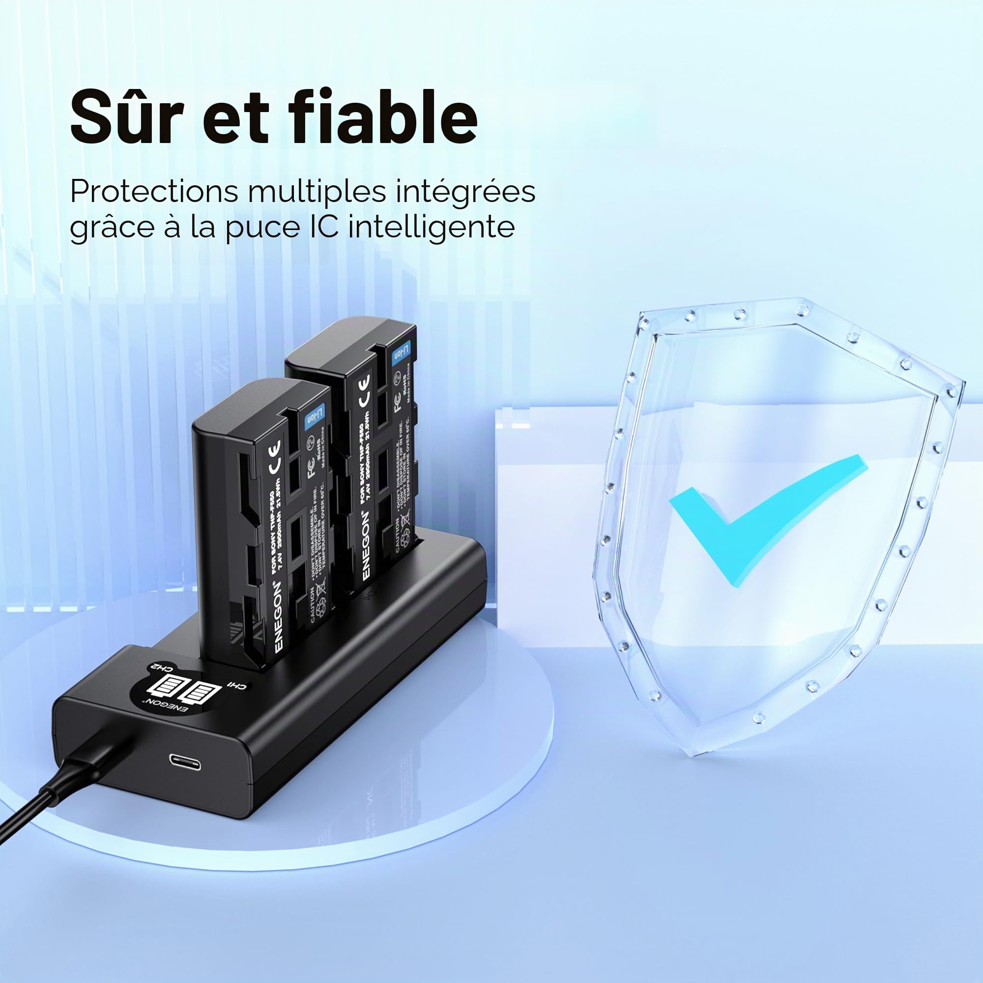 ENEGON NP-F550 Chargeur de Batterie Kit 2X 2900mAh Batterie de Remplacement LCD Type-C Câble USB Chargeur pour NP-F980 NP-F970 NP-F960 NP-F950 NP-F930 NP-F770 NP-F750 NP-F570 NP-F550
