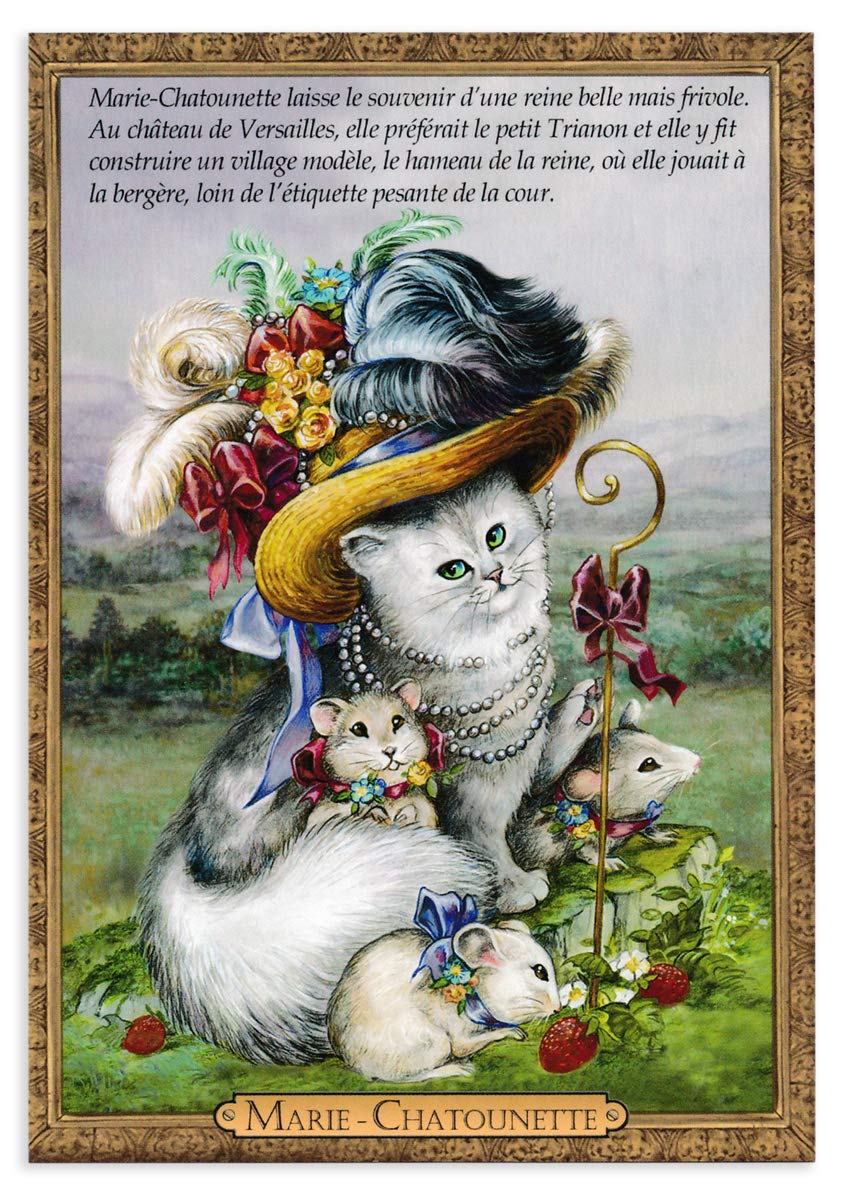 Amazon | フランス製 キャットポストカード (MARIE CHATOUNETTE