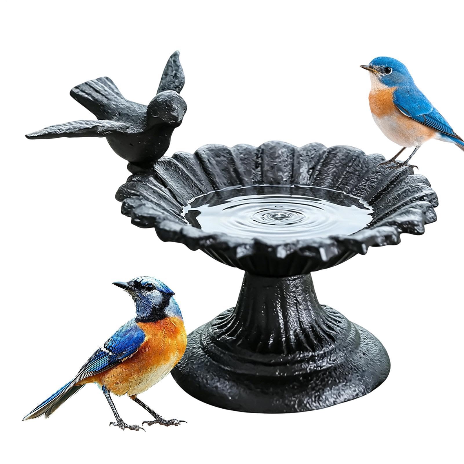 Bain d'oiseaux extérieur sur la table de terrasse pour colibri