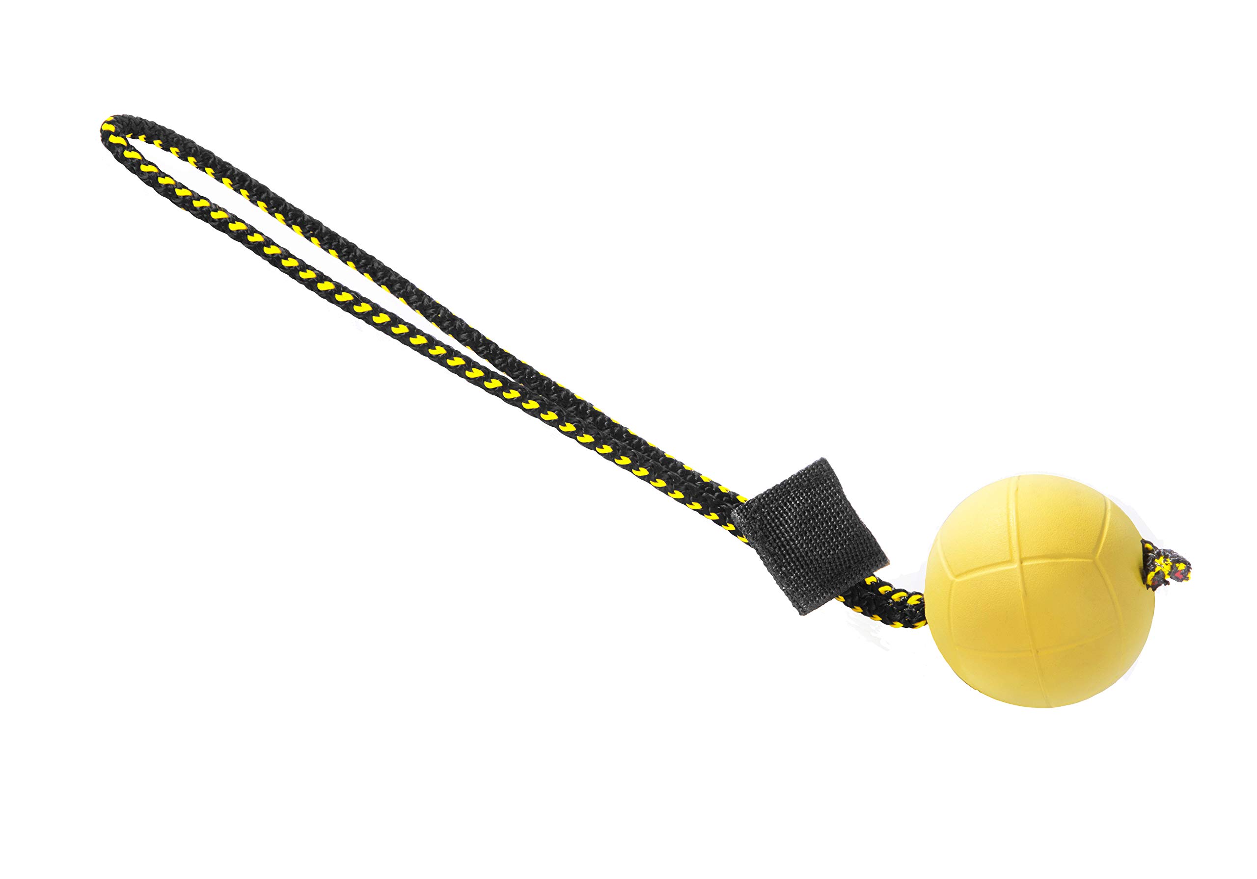 DINGO GEAR WWW.DINGOGEAR.COM 1977 Magnetset für das Hundetraining: eingefasster Magnet und Magnetgriff Gummiball