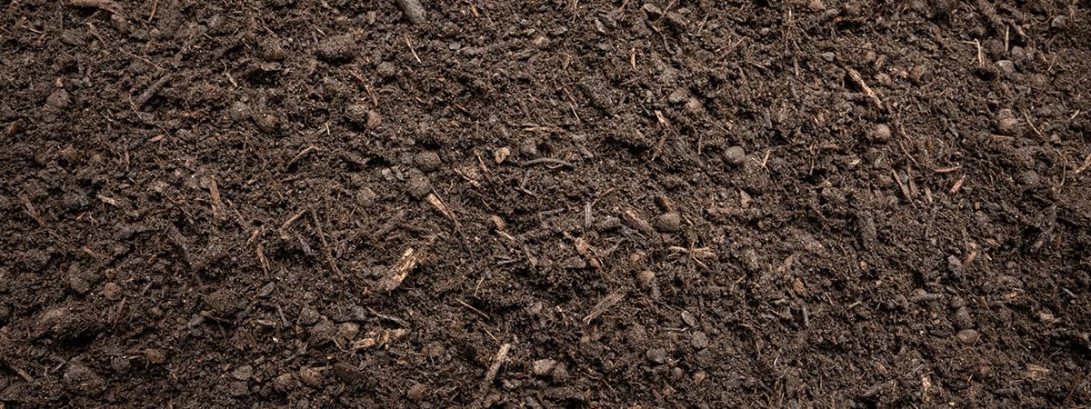 Bio Hanferde 20L Living Soil für nachhaltigen Cannabis-Anbau | Torffrei, organisch & mikrobiologisch aktiv Ideal für Indoor, Growbox & Hochbeet