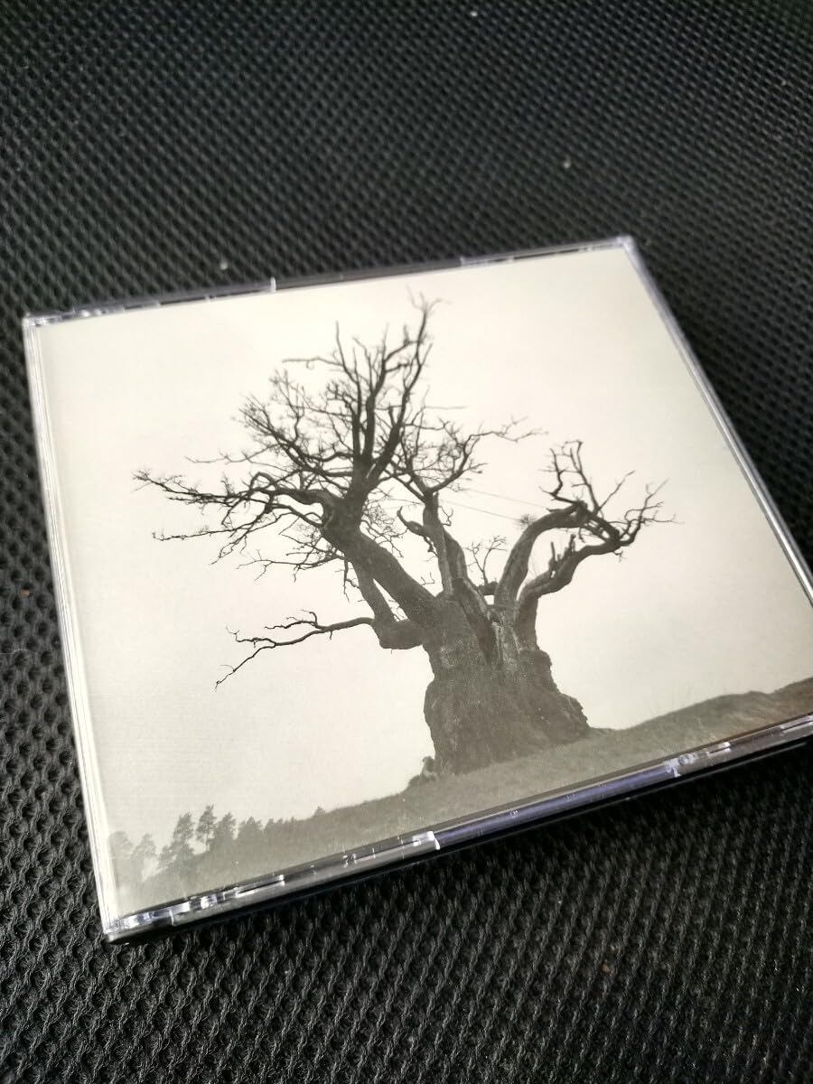Amazon.co.jp: SEKAI NO OWARI CD BEST ベスト セカイノオワリ 