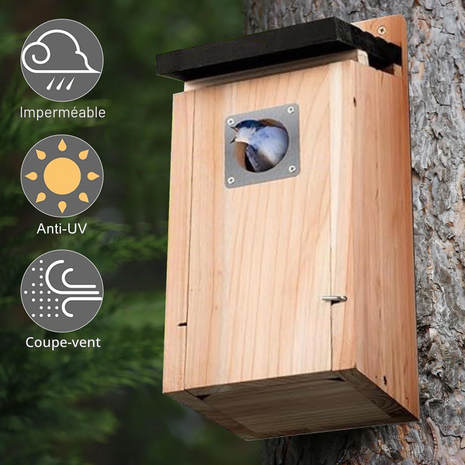 Nichoirs pour oiseaux, nichoir pour oiseaux sauvages, nichoir stable pour oiseaux sauvages, cavité de nidification, maison d'oiseaux en bois de pin à suspendre, résistant aux intempéries à suspendre