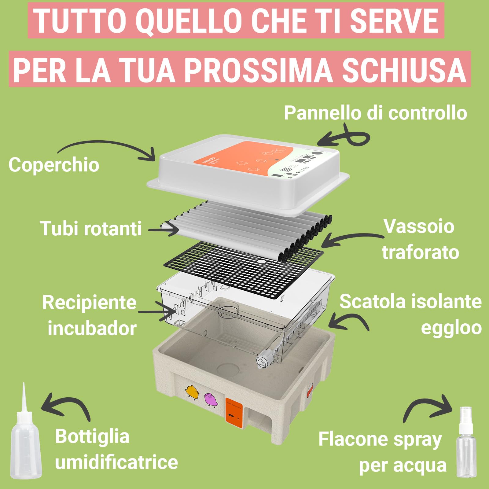OBI-36 Incubatrice Automatica – Incubatrice uova per 36 uova con Rivoltamento Automatico - Incubatrice uova gallina, quaglia e anatra - Arancione