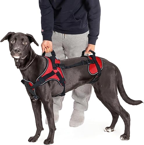 Doggie Stylz Arnés de elevación multifuncional para todo el cuerpo para perros, diseñado para elevación de perros solo en la parte delantera, solo