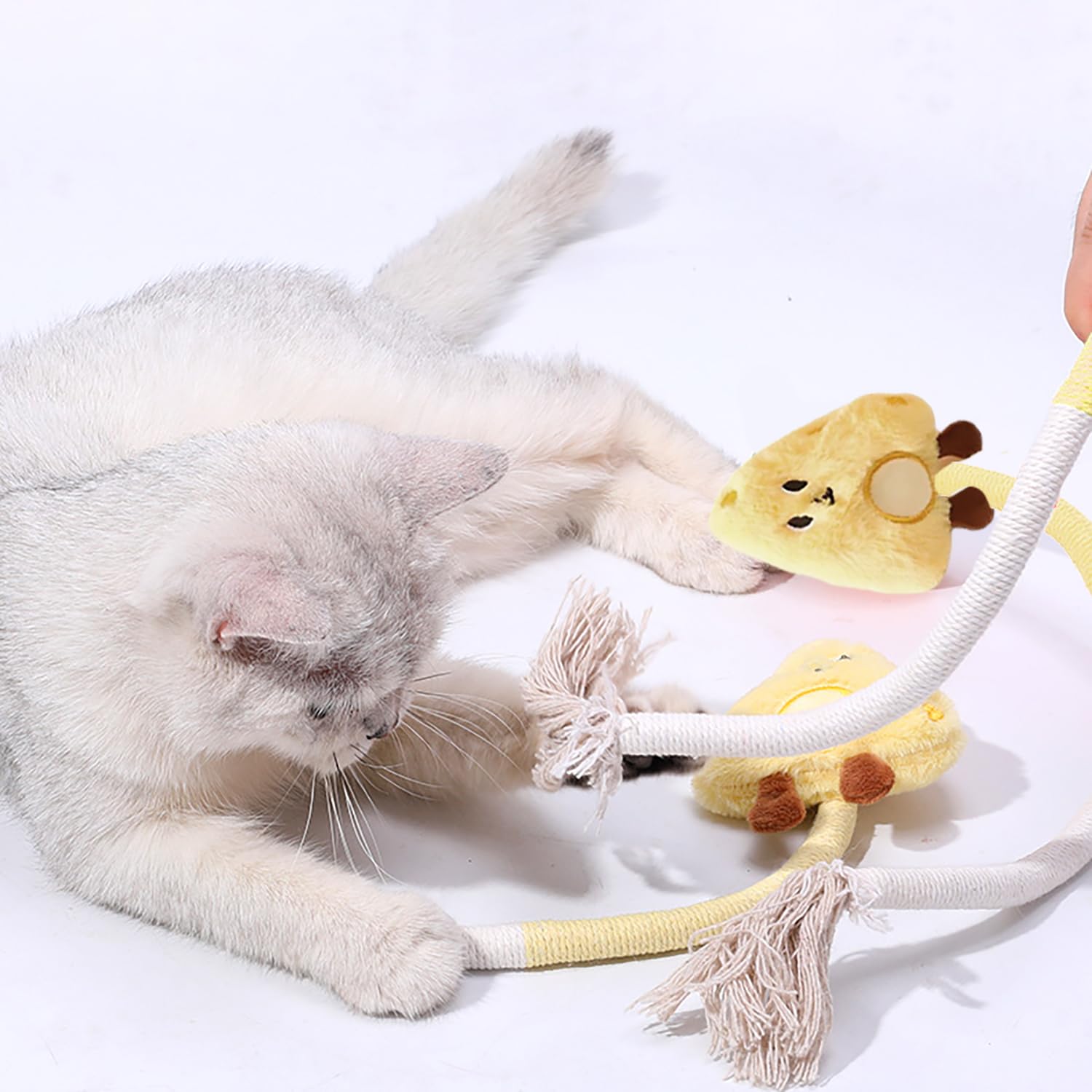 Giocattolo Per Gatti In Corda Di Cotone - Gioco Da Masticare Per Pulire Denti E Ridurre Lo Stress - Foto 5