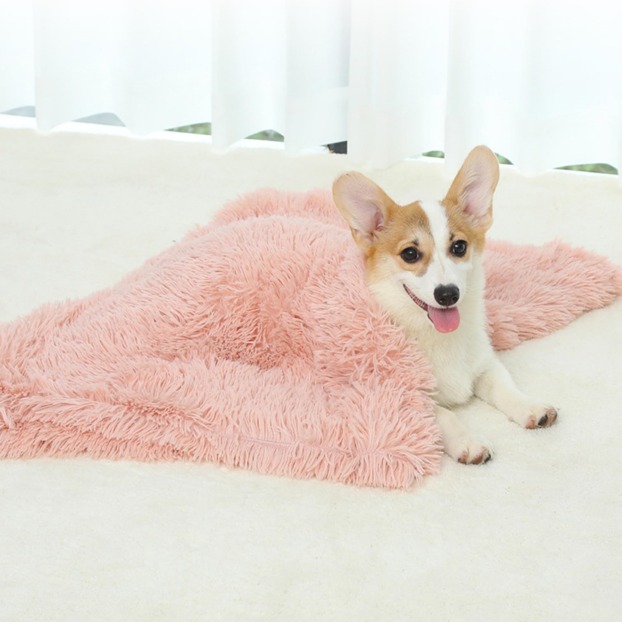 Paquete de 2 mantas de felpa, manta suave para mascotas para perros y gatos pequeños y medianos, manta calmante para perros, protege la cama y el sofá, funda de cama para perro, manta cálida para
