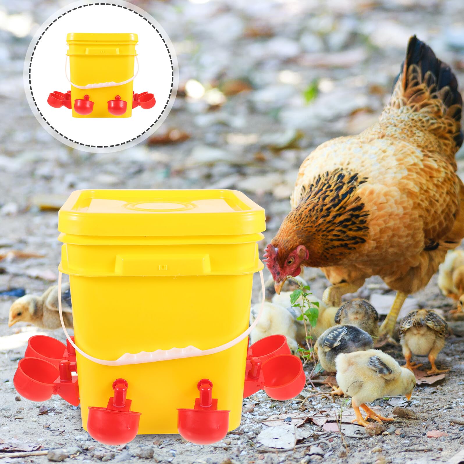 Anneome Mangiatoia Automatica Per Pollame Secchio Da 12l e 8 Bacinelle, Contenitore Alimentazione Polli Resistente Uv, Facile Da Pulire Per Allevamenti Domestici All’aperto